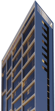linha concept